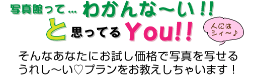 お試し価格
