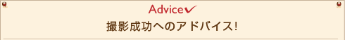 成人式撮影成功へのアドバイス
